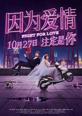 因为爱情HD国语版