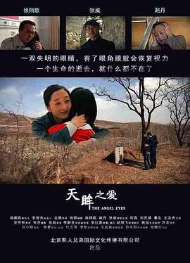 天眸之爱HD国语版