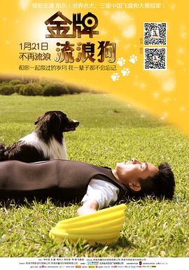 金牌流浪狗HD国语