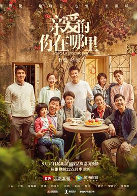 亲爱的，你在哪里第19集