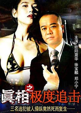 真相之极度追击HD国语