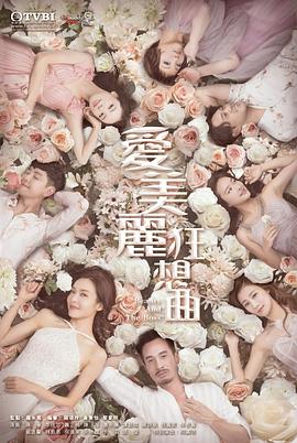 爱美丽狂想曲粤语第25集