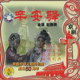 辛安驿HD国语