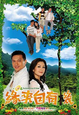缘来自有机国语第13集