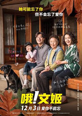 哦！文姬HD中字