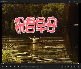 祝君早安国语第12集