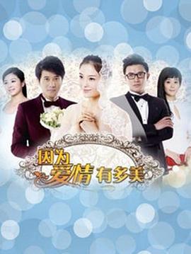 因为爱情有多美DVD版第05集