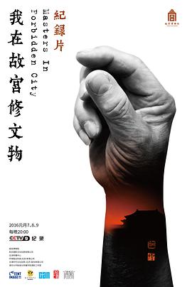 我在故宫修文物HD国语
