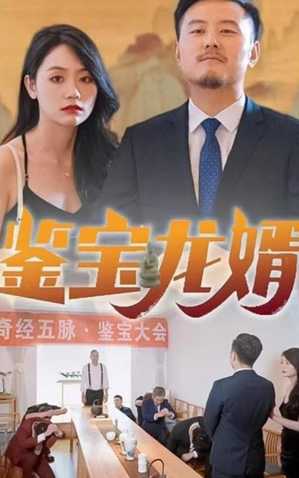 鉴宝龙婿第43集