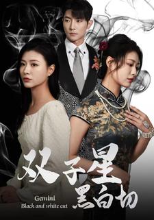 双子星黑白切第05集