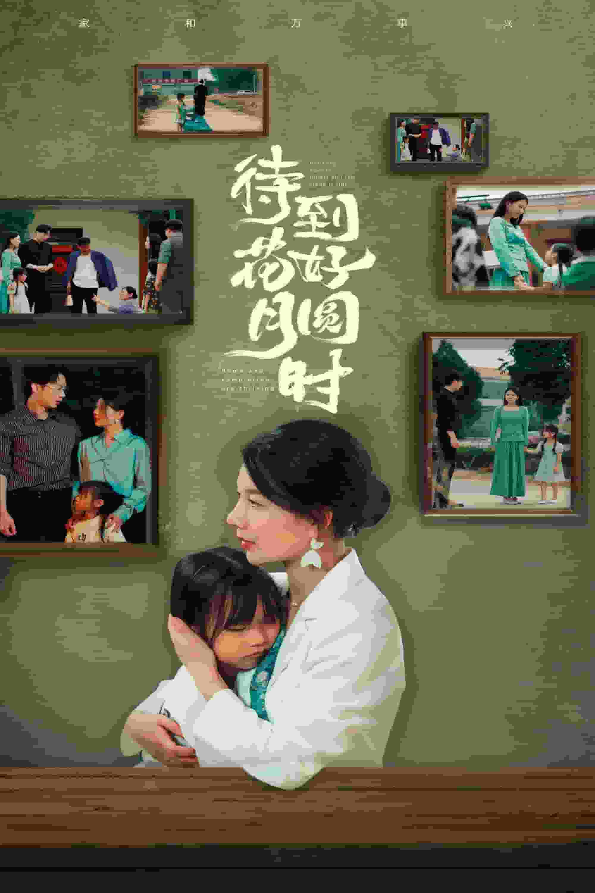 待到花好月圆时第16集