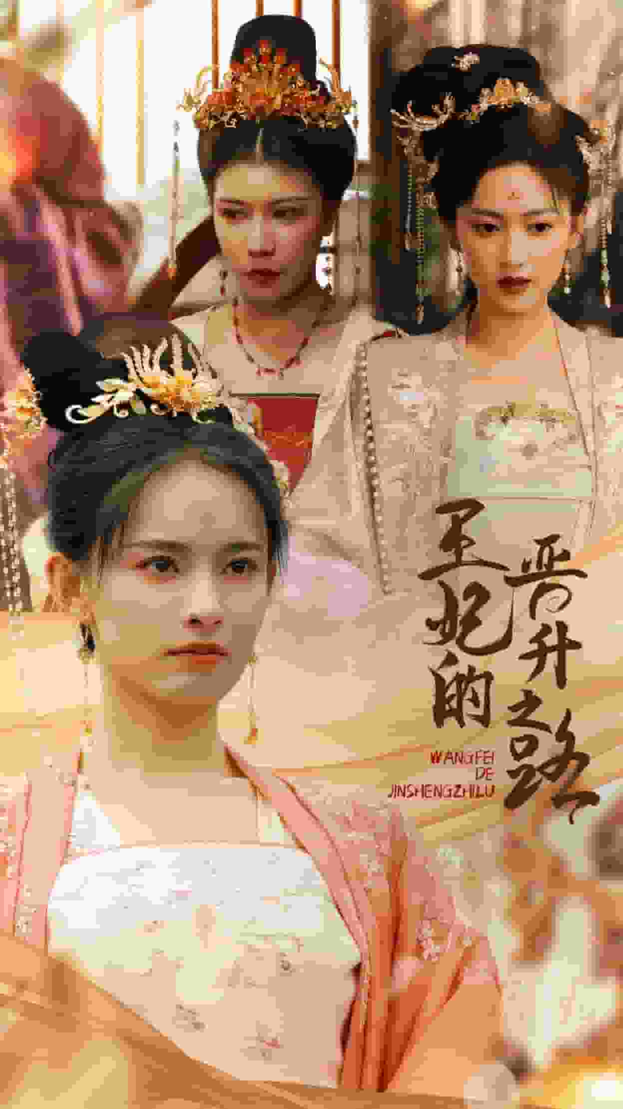 王妃的晋升之路第41集