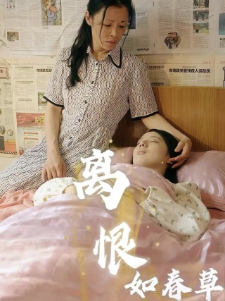 离恨如春草第55集