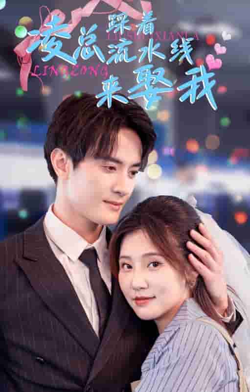 凌总踩着流水线来娶我第17集