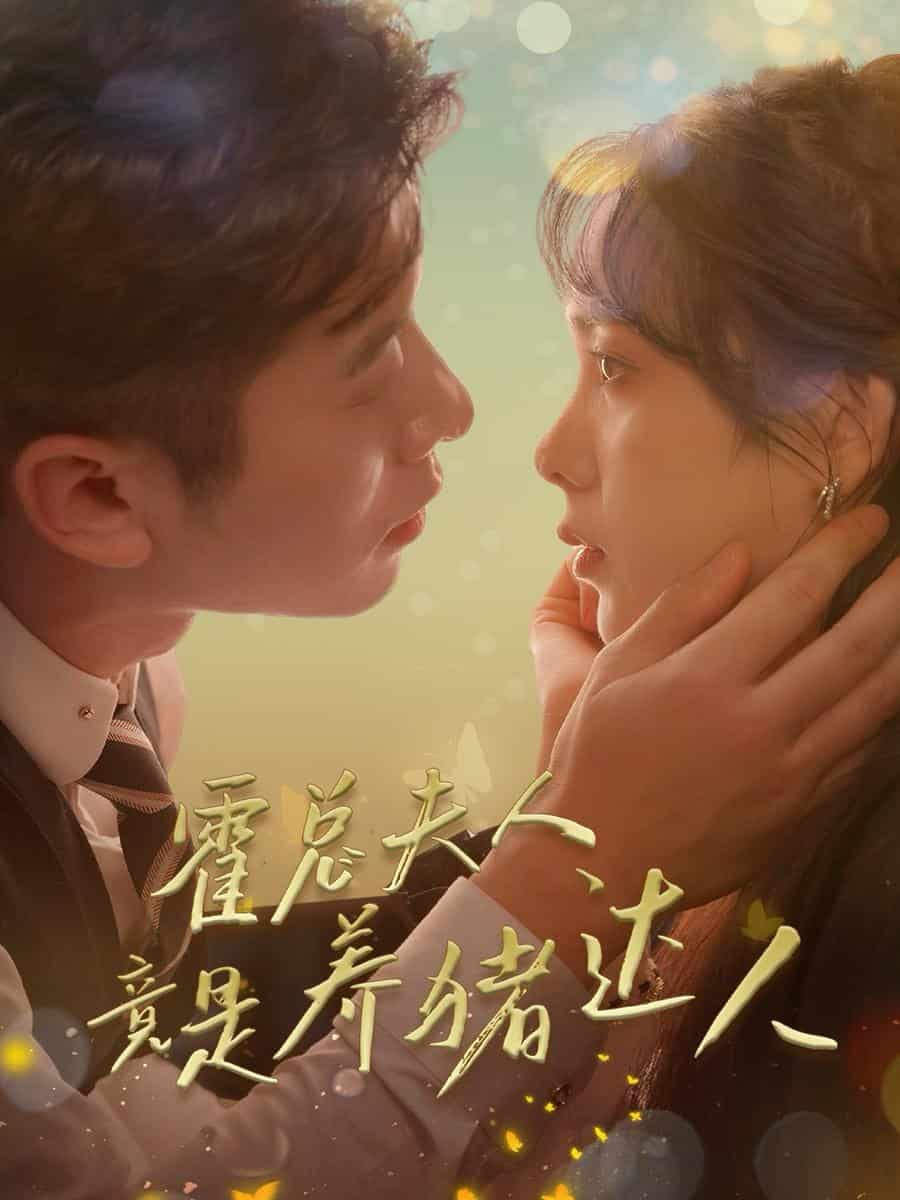 霍总夫人竟是养猪达人第27集