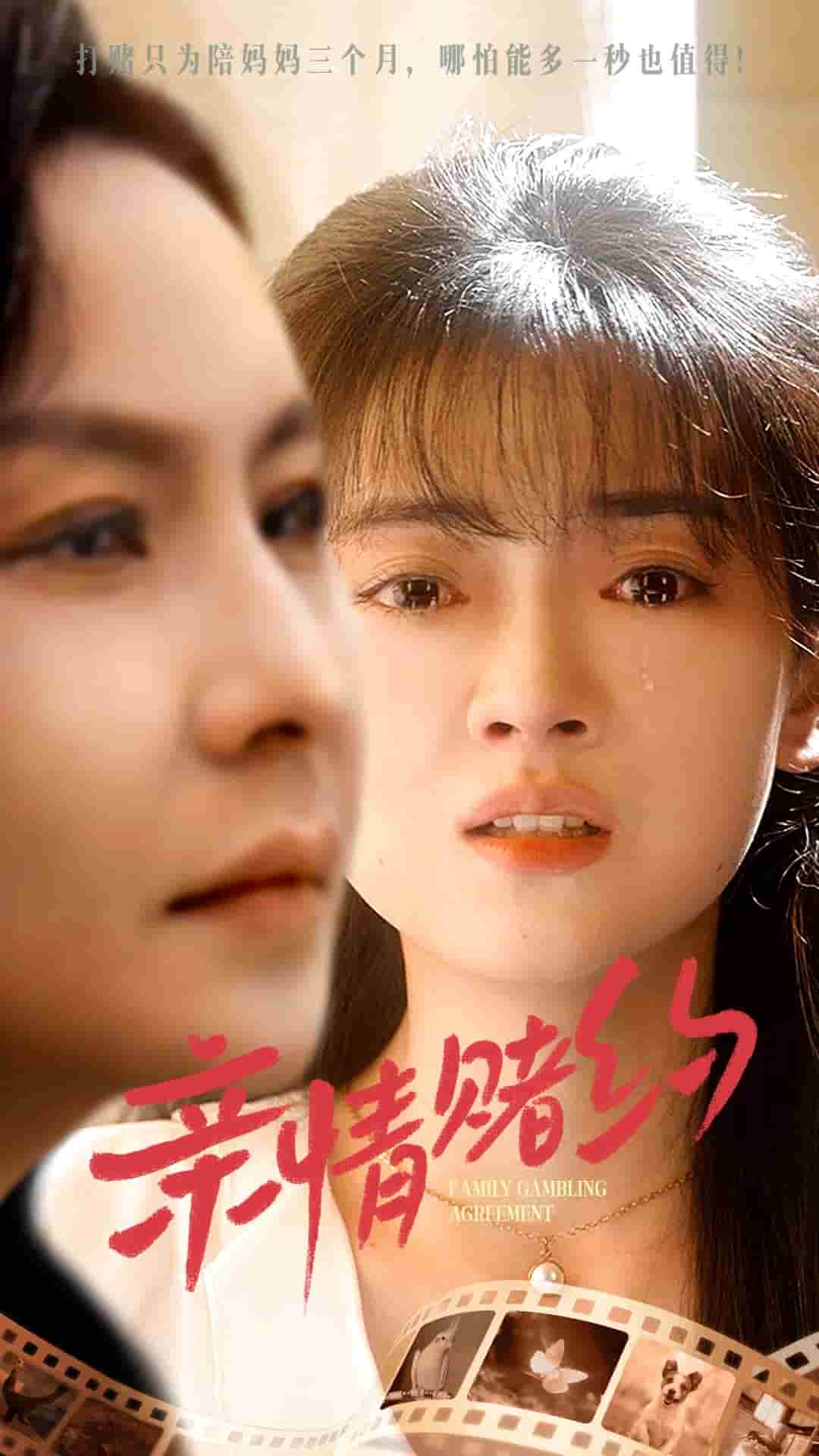 亲情赌约第47集