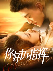 你好厉指挥第27集