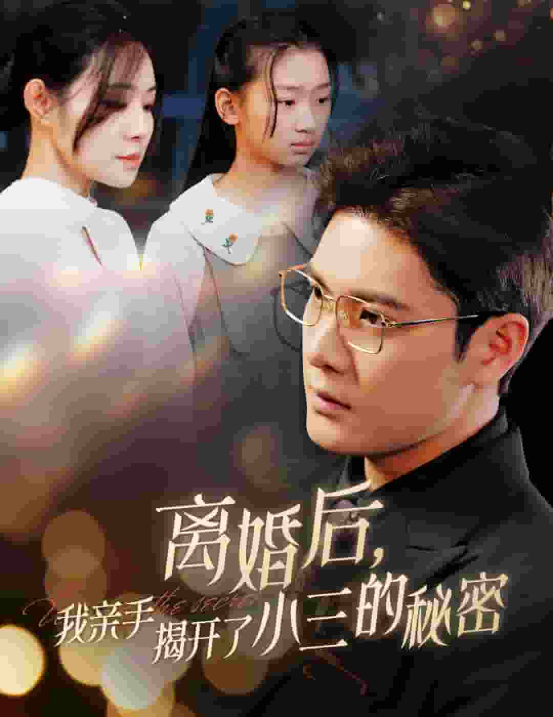 离婚后我亲手揭开了小三的秘密第26集