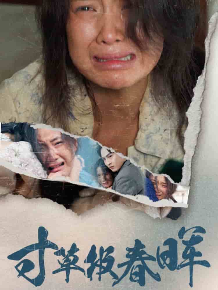 寸草报春晖第17集