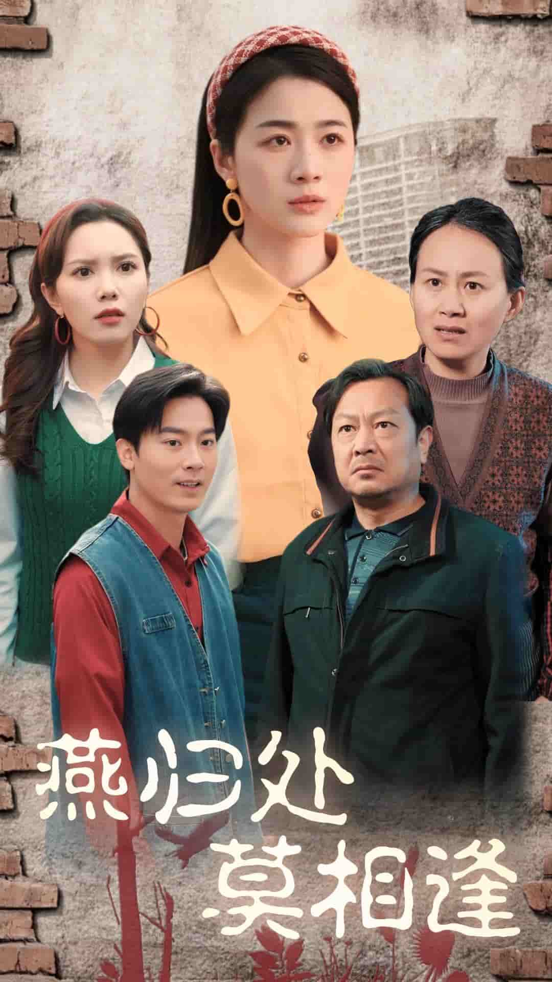 燕归处莫相逢第31集