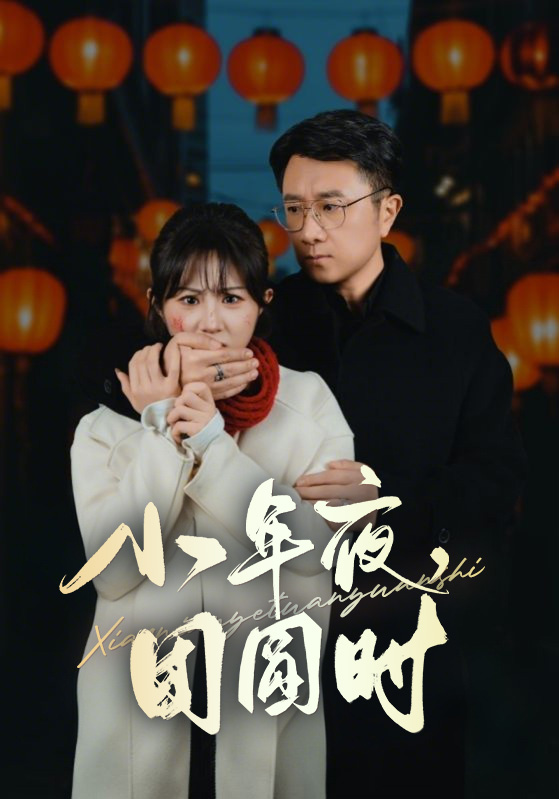 小年夜万家灯火没有我第12集