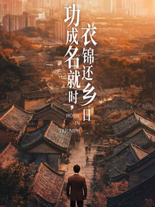 功成名就时衣锦还乡日第19集
