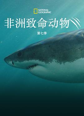 非洲致命动物第七季第01集