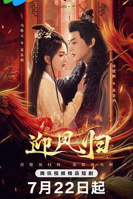 迎凤归第14集