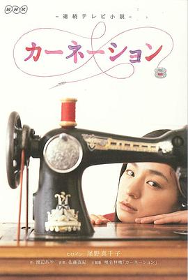 康乃馨第56集