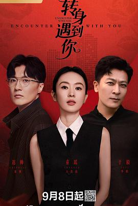 转身遇到你第9集