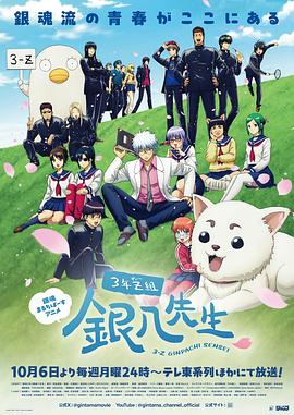 3年Z组银八老师第08集