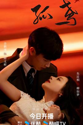 孤鸢第12集