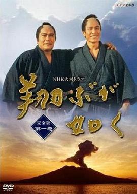 宛如飞翔第01集