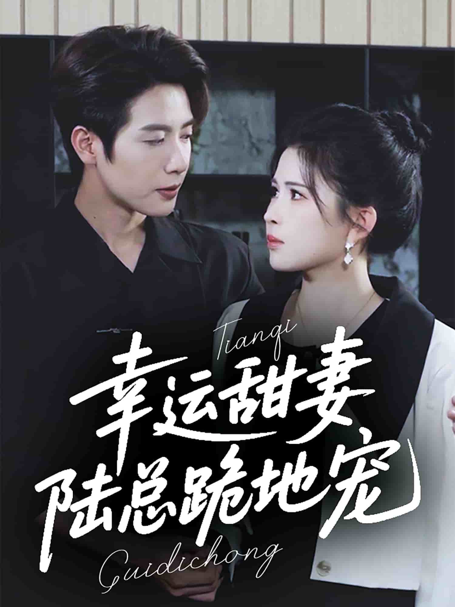 幸运甜妻，陆总跪地宠第24集