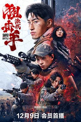 狙击手：激战HD中字