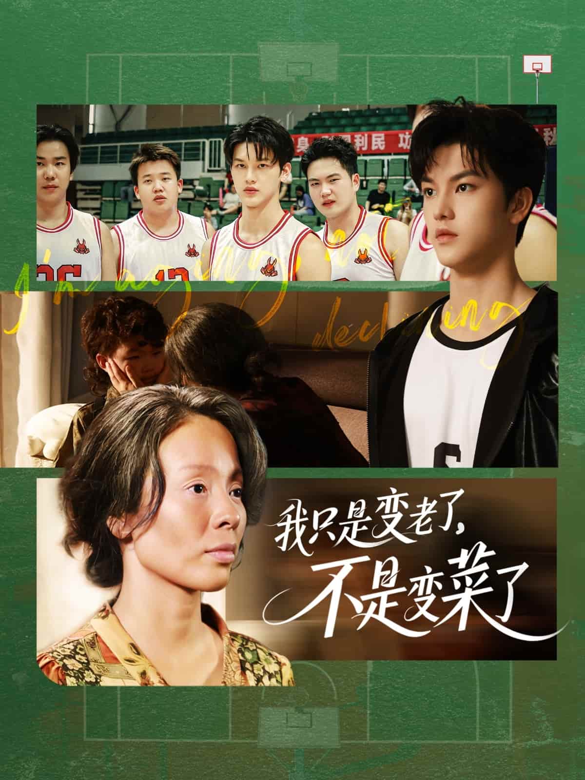 我只是变老了，不是变菜了第14集