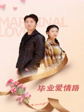毕业爱情路HD国语