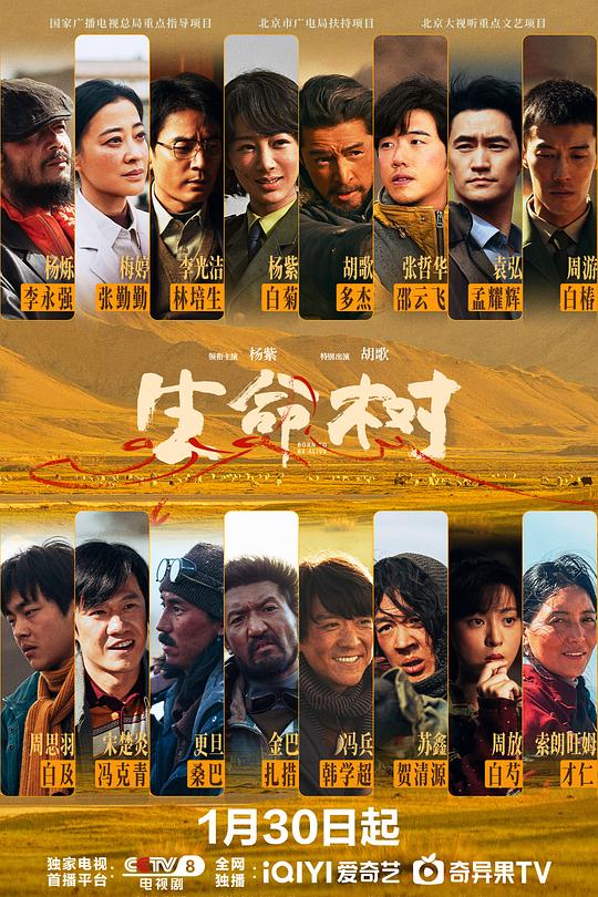 生命树第32集