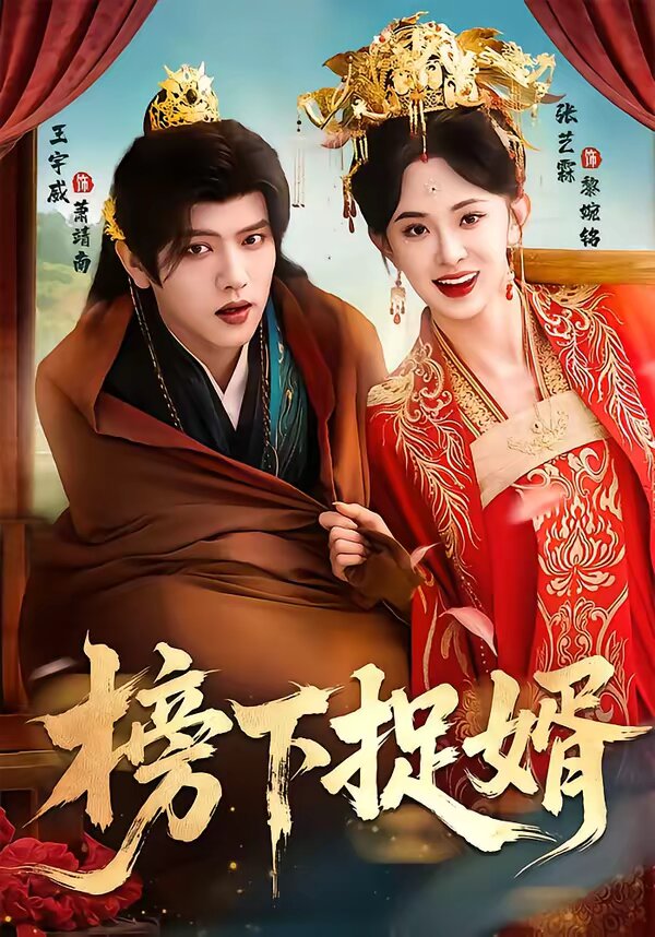 榜下捉婿第28集