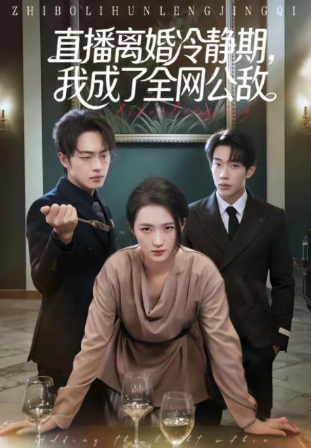 直播离婚冷静期，我成了全网公敌第39集
