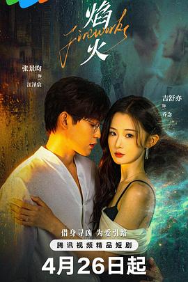 焰火第18集